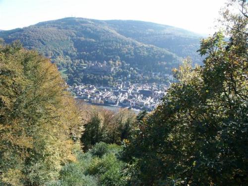 Heidelberg