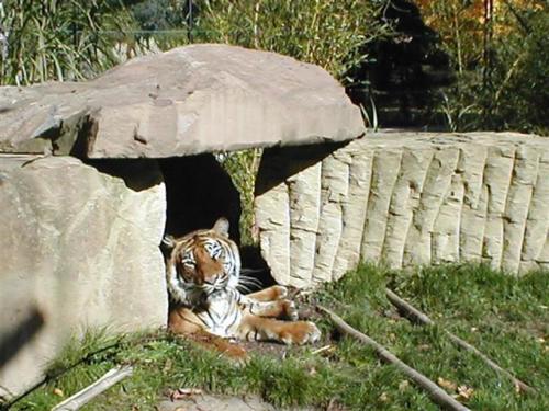 Zoo Heidelberg