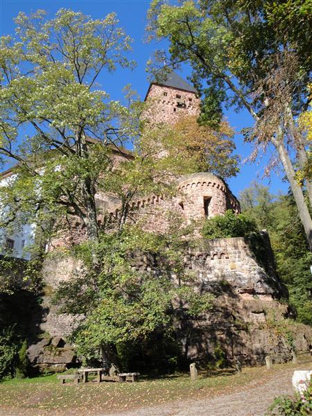 Burg Zwingenberg