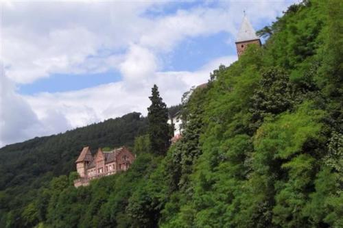Burg Zwingenberg